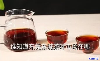 东茶叶市场哪里更大？求推荐更大、更便宜的地点！