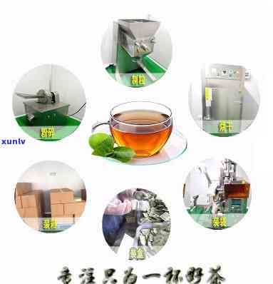 湖南长沙茶叶包加工-湖南长沙茶叶包加工厂家