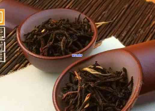 小金罐的茶叶是什么茶，揭秘小金罐茶叶品种，它到底属于什么茶？