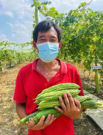 女人送茶叶代表什么意思，茶叶之礼：揭秘女性赠送茶叶的含义与寓意