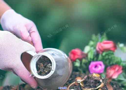 残茶叶可以做花肥吗-残茶叶可以做花肥吗视频