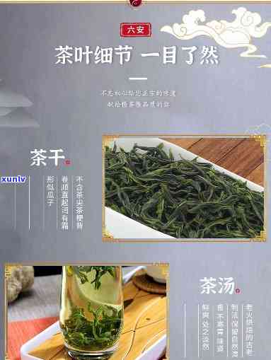 六安蝙蝠洞茶叶专供店，品味天然，畅享健——六安蝙蝠洞茶叶专供店