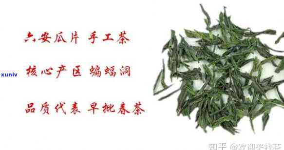 六安蝙蝠洞茶叶专供-六安蝙蝠洞茶叶专供店