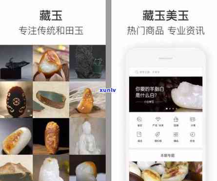 专门看玉石的软件，玉石爱好者必备：专业玉石鉴定软件推荐