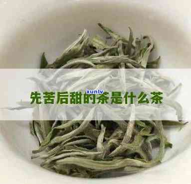 先甜后苦的茶叶是什么，揭秘：先甜后苦的茶叶是什么？