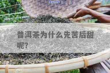 先苦后甜的茶叶好吗-先苦后甜的茶叶好吗知乎