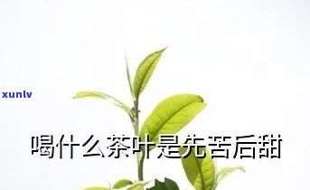 先苦后甜的茶叶好吗-先苦后甜的茶叶好吗知乎