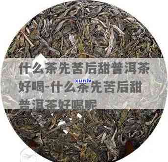 先苦后甜的茶叶好吗-先苦后甜的茶叶好吗知乎