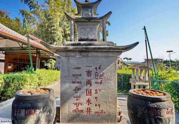 林老根普洱茶市场价格走势大全