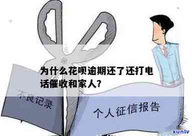 花呗  说的严重？是真是假？