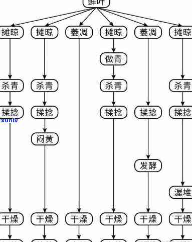 探讨茶叶的茶的结构类型：从形态到功能的全面解析