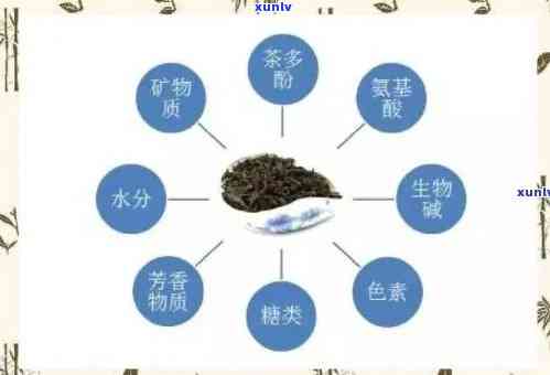 茶叶影响药效吗？探讨其原因及科学解释