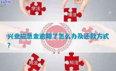 兴业应急金逾期上吗，兴业应急金：逾期还款是不是会上？