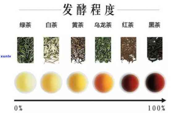 茶叶茶多酚含量排行-茶叶茶多酚含量排行榜