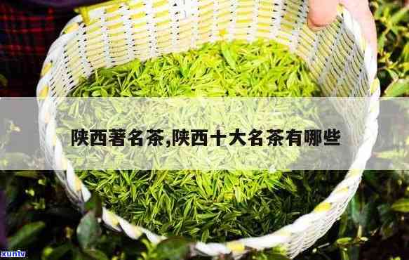 陕西省特产茶叶排行-陕西省特产茶叶排行榜前十名