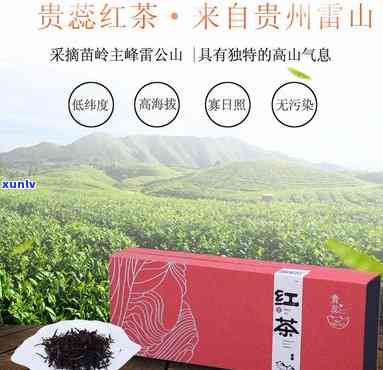 霄坑茶叶的包装外观-霄坑茶叶的特点