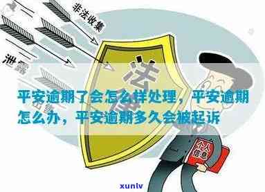 铁岭翡翠玉石毛料全方位解析：从质量、价格、选购到加工工艺的全面指南