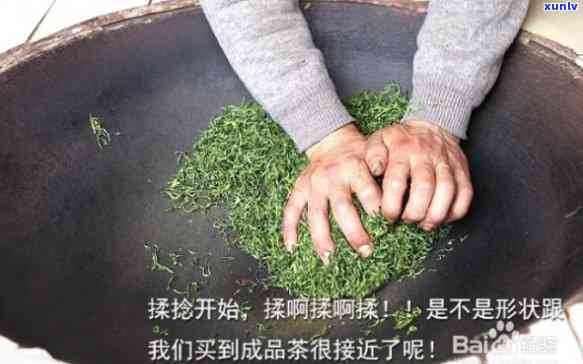 纯手工茶叶教程视频讲解全集：详细步骤与技巧