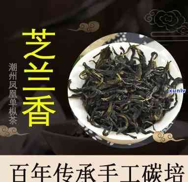 凤凰单丛茶芝兰香简介，探秘凤凰单丛茶：芝兰香的详细介绍与品鉴指南