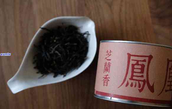 凤凰芝兰香茶叶图片-凤凰芝兰香茶叶图片大全