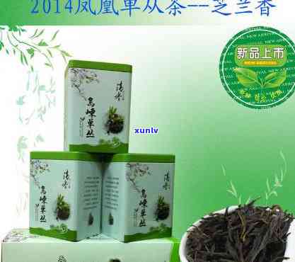 凤凰芝兰香茶叶图片-凤凰芝兰香茶叶图片大全