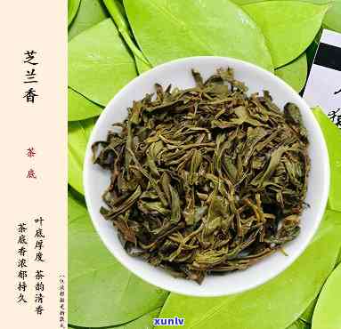 凤凰芝兰香茶叶图片-凤凰芝兰香茶叶图片大全