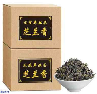 凤凰芝兰香茶叶图片-凤凰芝兰香茶叶图片大全