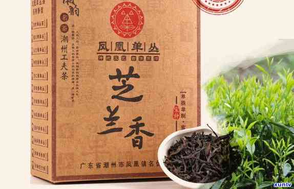 凤凰芝兰香茶叶图片-凤凰芝兰香茶叶图片大全