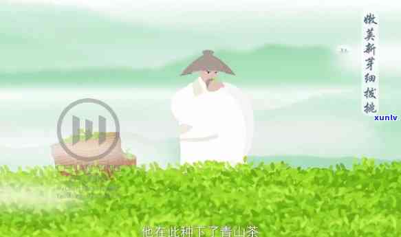 茶介绍小视频：古风动漫版，深入了解茶的魅力