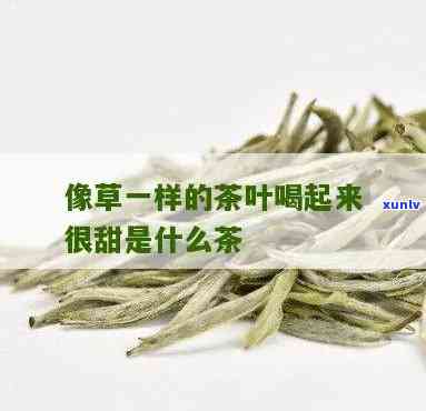 像草一样的是什么茶？详解各类草本茶叶