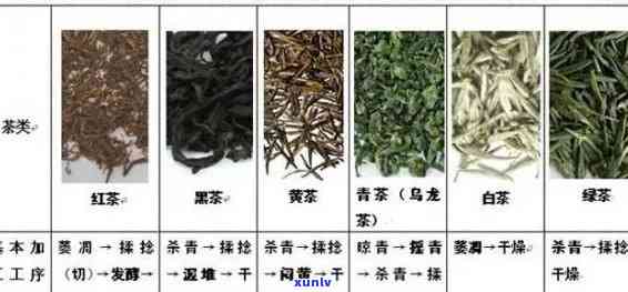 茶叶长什么样子图片大全，探索茶的世界：全面了解茶叶的形态与种类，一图胜千言！