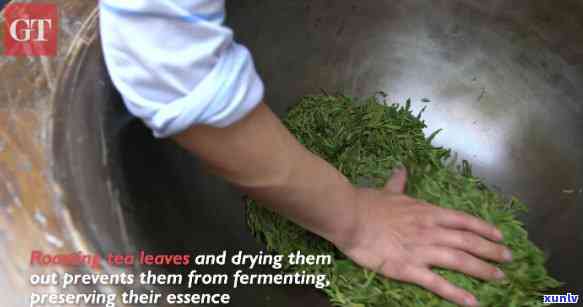 茶叶 *** 过程视频英语怎么说，Process of Making Tea: A Video in English