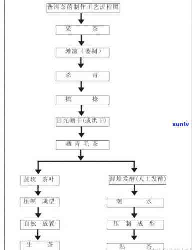 深入解析：竹叶青茶叶加工工艺及其详细流程图