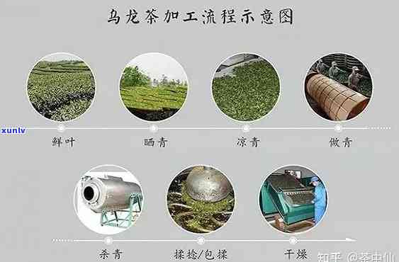 深入解析：竹叶青茶叶加工工艺及其详细流程图