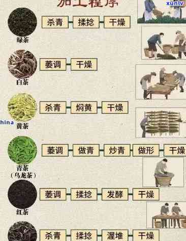 深入解析：竹叶青茶叶加工工艺及其详细流程图