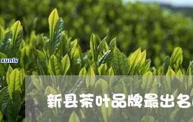 新茶叶名录的视频-新县茶叶名录