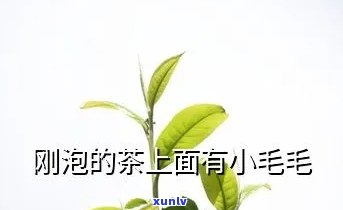 茶叶泡的水有毛带光-茶叶泡的水有毛带光泽正常吗