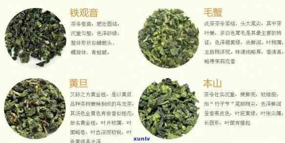 全面解析：茶叶的种类及其功效