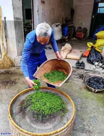 茶叶的 *** 过程图片大全，全面解析：茶叶 *** 过程的图片大全