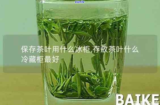 保存茶叶用什么冰柜，如何选择最适合保存茶叶的冰柜？