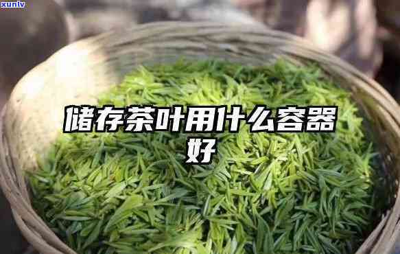 保存茶叶用什么容器好，寻找茶叶存容器？这份指南帮你选！