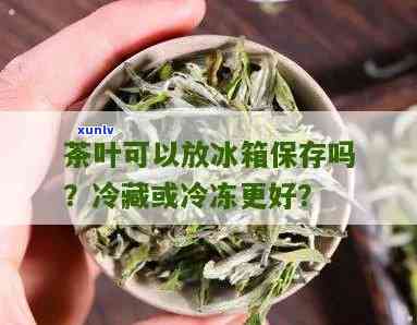 茶叶放冰箱里保存好还是放外面？