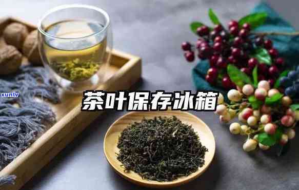 放茶叶的冰柜推荐：哪种更合适？冰箱还是柜子？