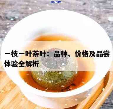 一枝叶茶叶礼盒多少钱，探究价格：一枝叶茶叶礼盒的市场价值