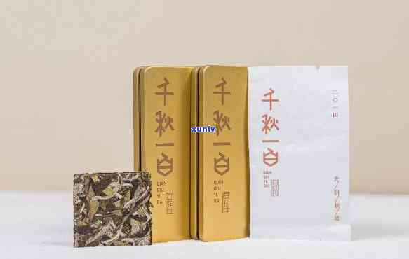 一枝一叶茶叶礼品盒：价格多少？单盒茶叶又值多少？