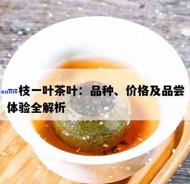 一枝一叶茶叶贵不贵-一枝一叶茶叶多少钱