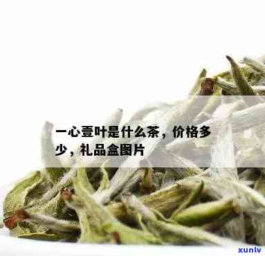 一枝一叶茶叶贵不贵-一枝一叶茶叶多少钱