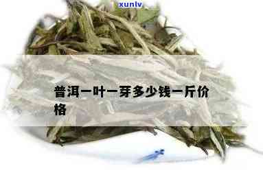 一枝一叶茶叶贵不贵-一枝一叶茶叶多少钱