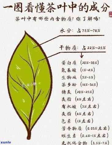 茶叶所含成分及功效，探索茶叶的奥秘：了解其所含成分及其神奇功效