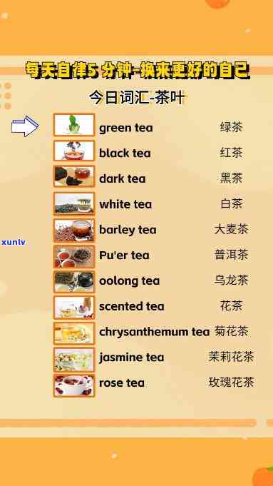 茶叶的单词怎么拼写英语，Spelling of the Word for Tea in English